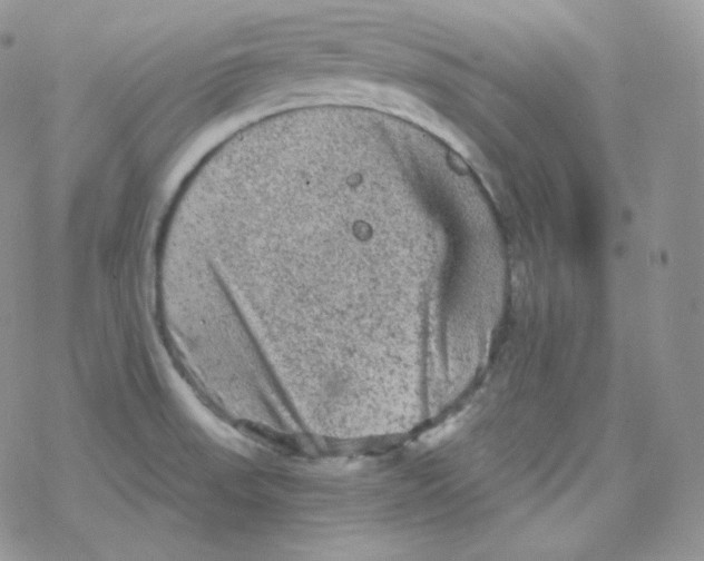 X0000078301523200611251456