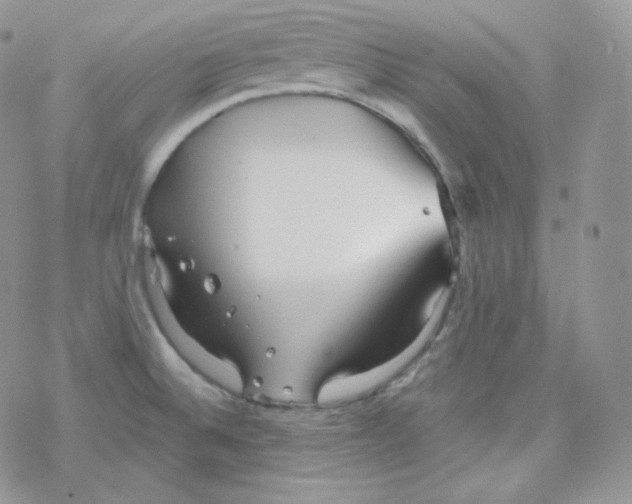 X0000078301524200611251456