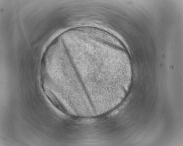 X0000078301525200611251456