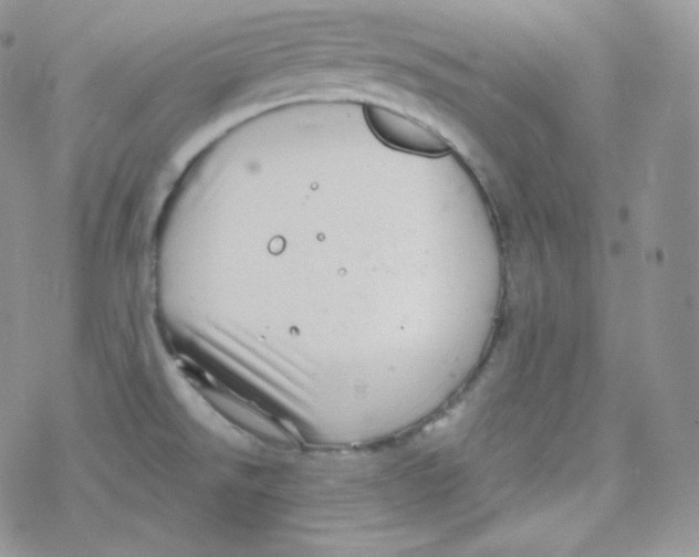 X0000078301526200611251456