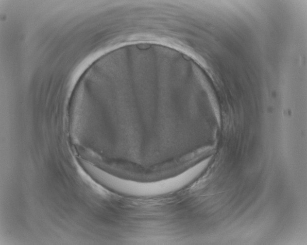 X0000078301527200611251456