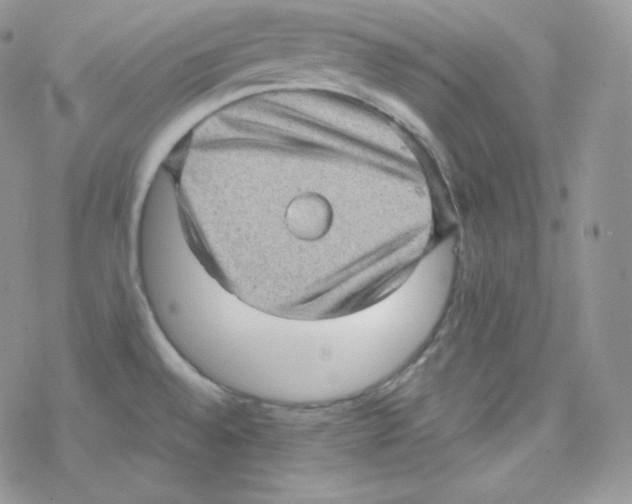 X0000078301528200611251456