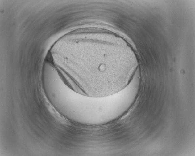 X0000078301530200611251456