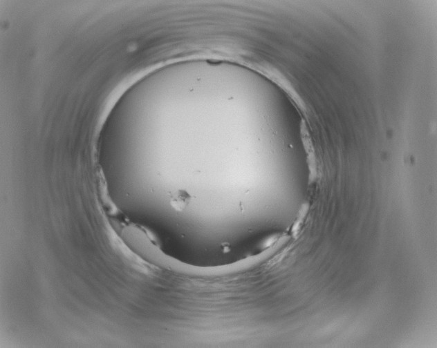 X0000078301532200611251456