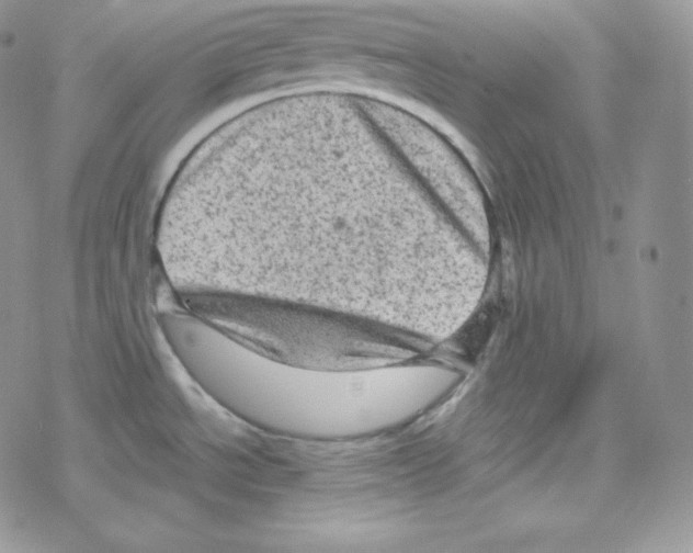 X0000078301534200611251456