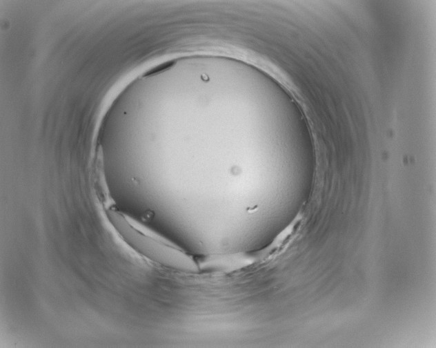 X0000078301536200611251456