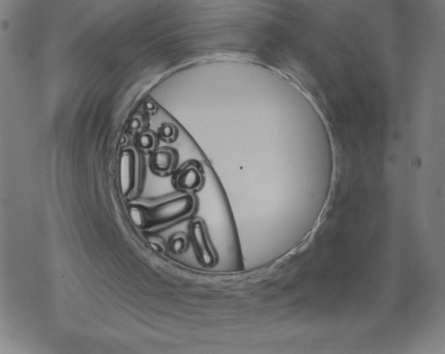 X0000078300001200612011846