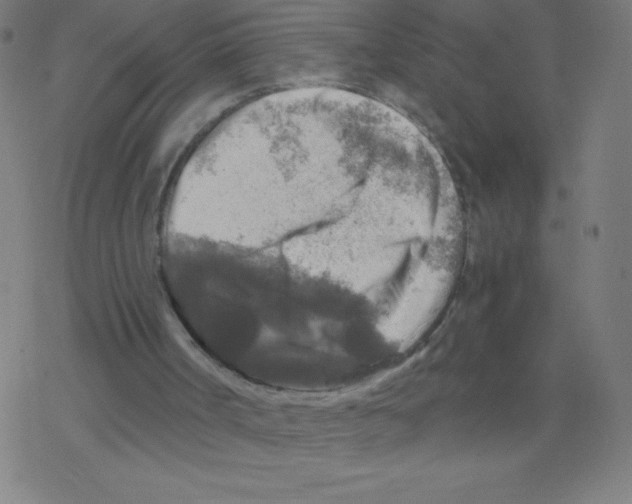 X0000078300002200612011846