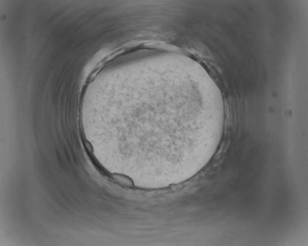 X0000078300003200612011846