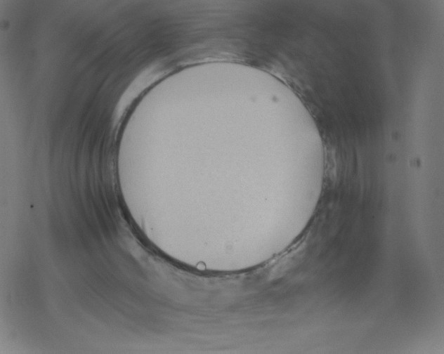 X0000078300004200612011846