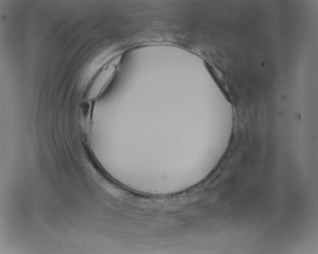 X0000078300005200612011846