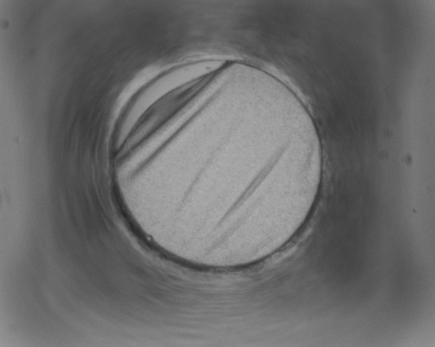 X0000078300008200612011846