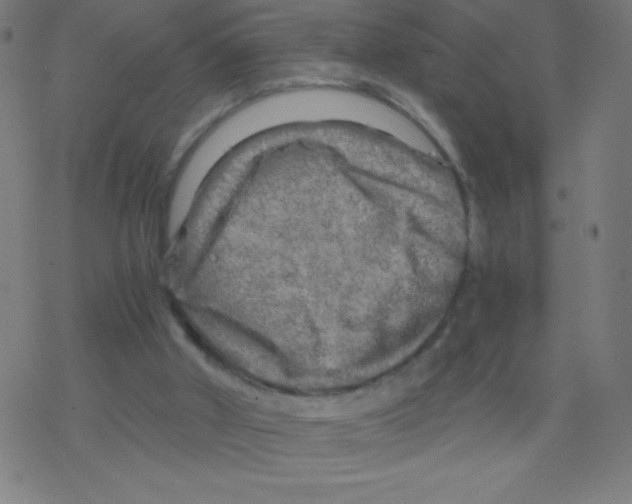 X0000078300010200612011846