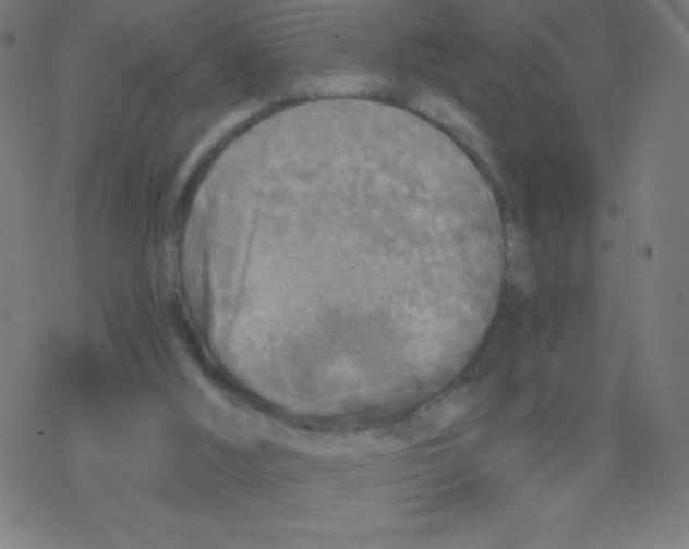 X0000078300012200612011846