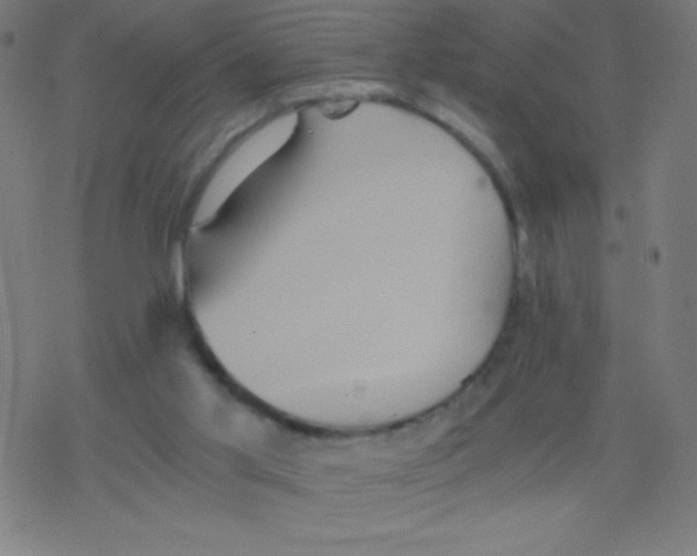 X0000078300013200612011846