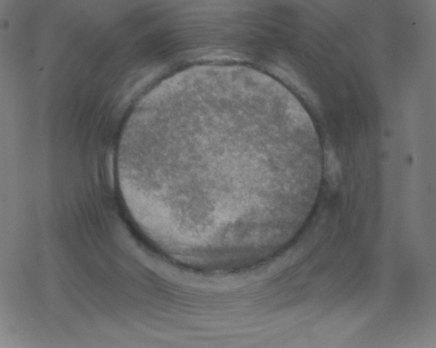 X0000078300014200612011846