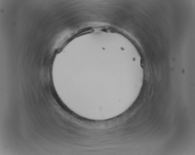 X0000078300015200612011846