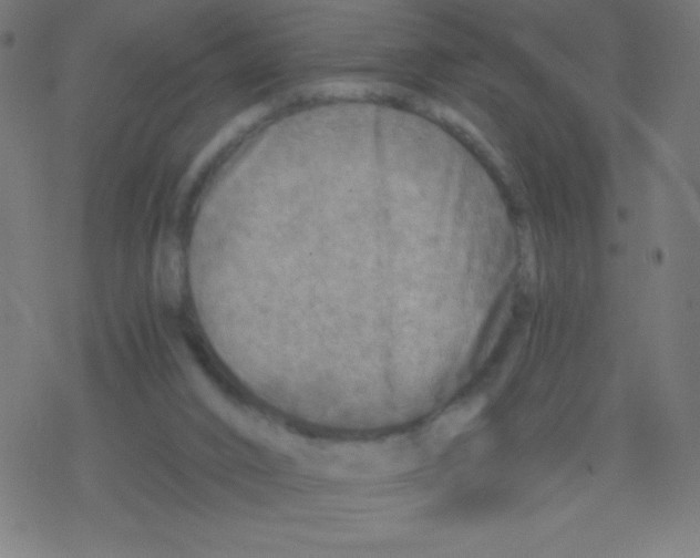 X0000078300016200612011846