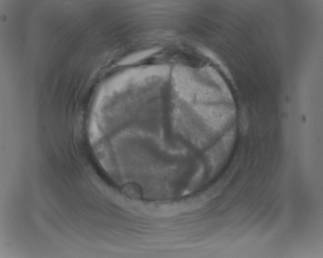 X0000078300018200612011846