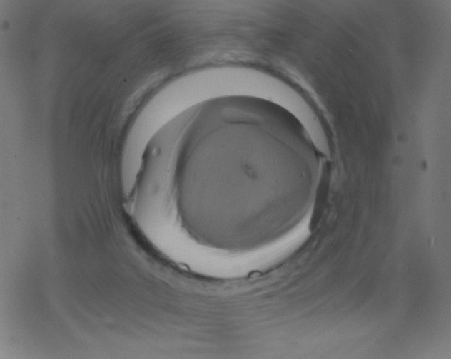 X0000078300019200612011846