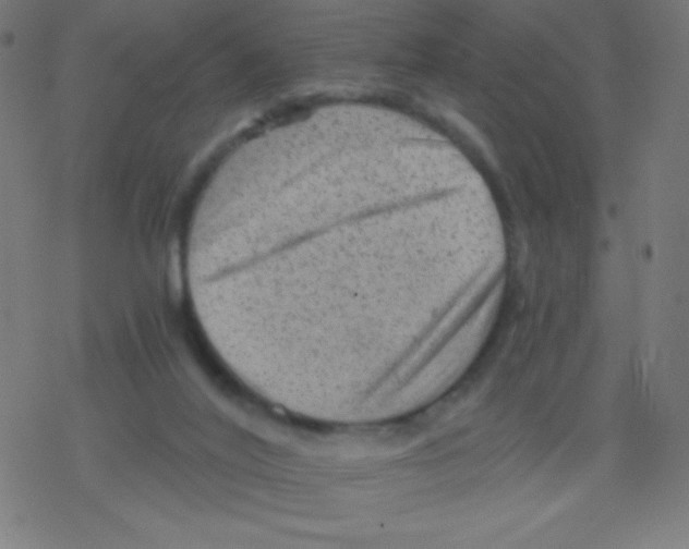 X0000078300020200612011846