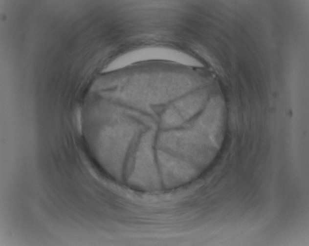 X0000078300022200612011846