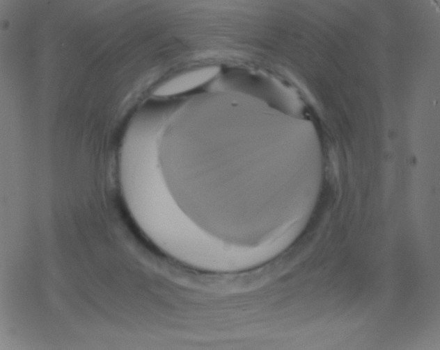 X0000078300023200612011846