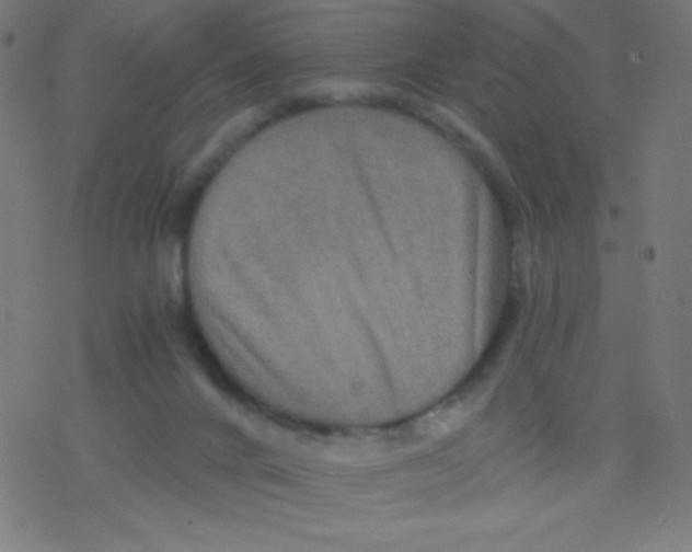 X0000078300024200612011846