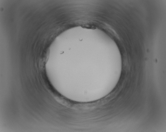 X0000078300025200612011846