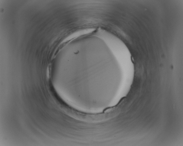 X0000078300027200612011846