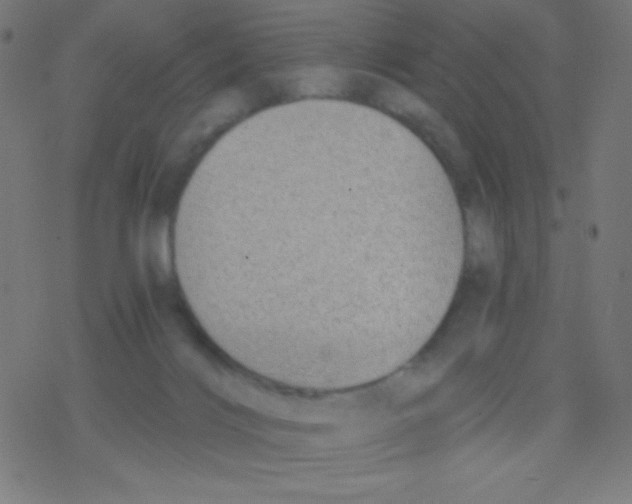 X0000078300028200612011846