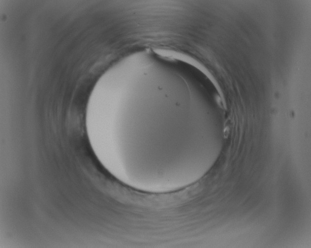 X0000078300031200612011846