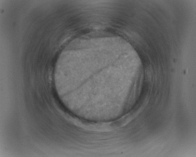 X0000078300032200612011846