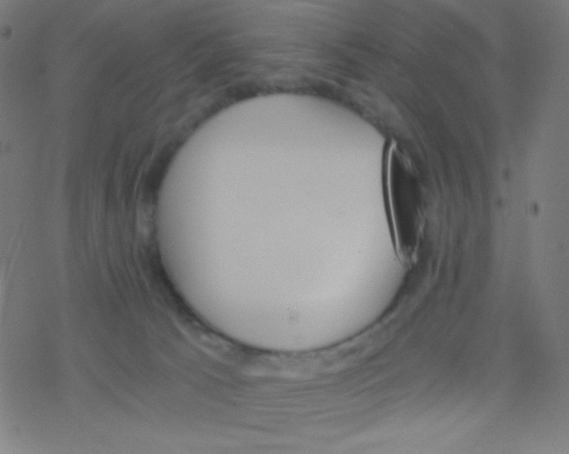 X0000078300033200612011846