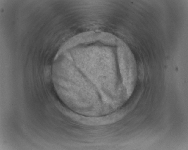 X0000078300034200612011846