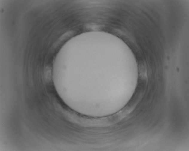 X0000078300036200612011845