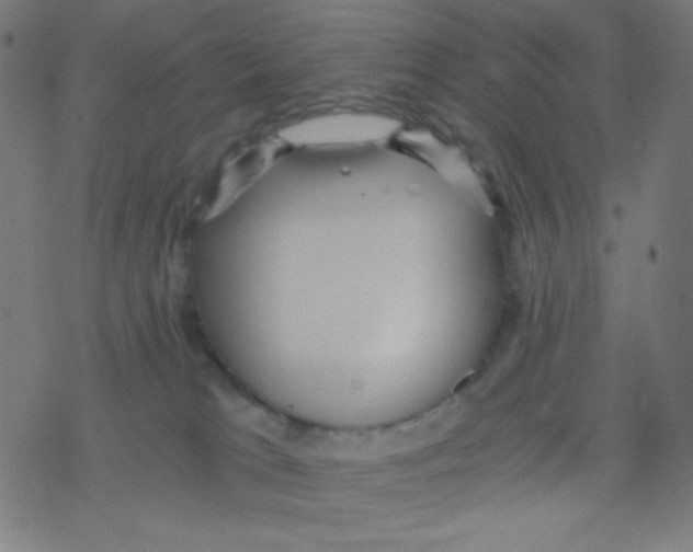 X0000078300037200612011845