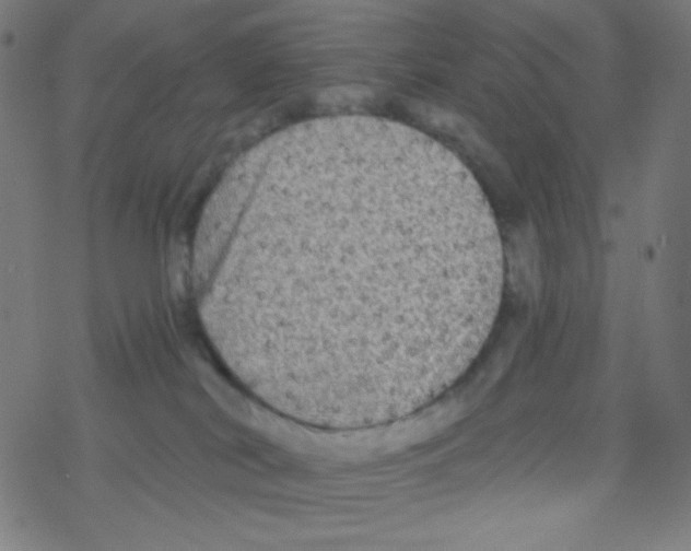 X0000078300038200612011845