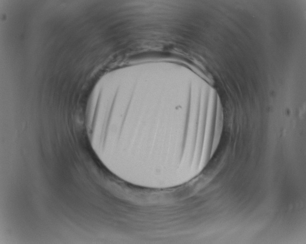 X0000078300040200612011845