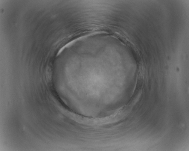 X0000078300043200612011845