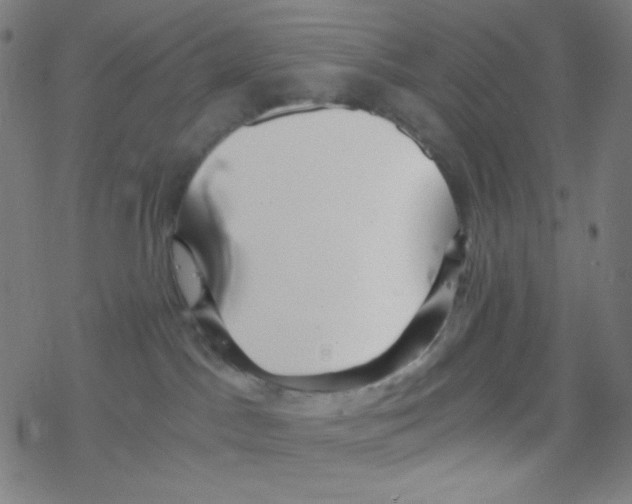 X0000078300045200612011845