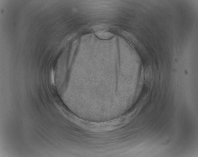 X0000078300046200612011845