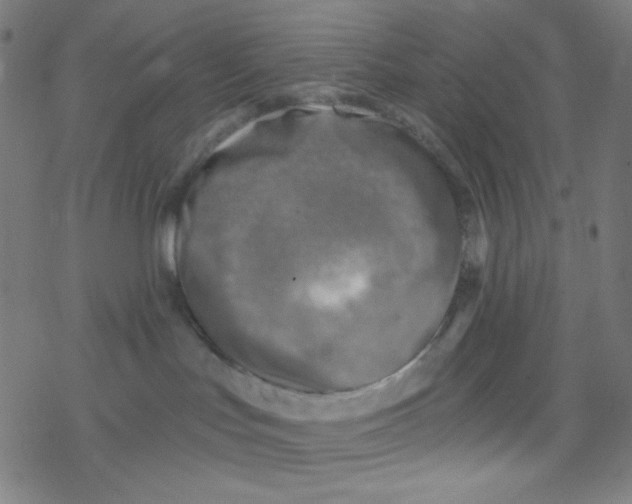 X0000078300047200612011845