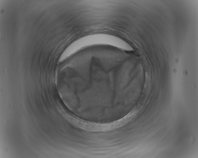 X0000078300048200612011845