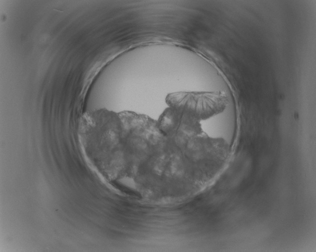 X0000078300049200612011844