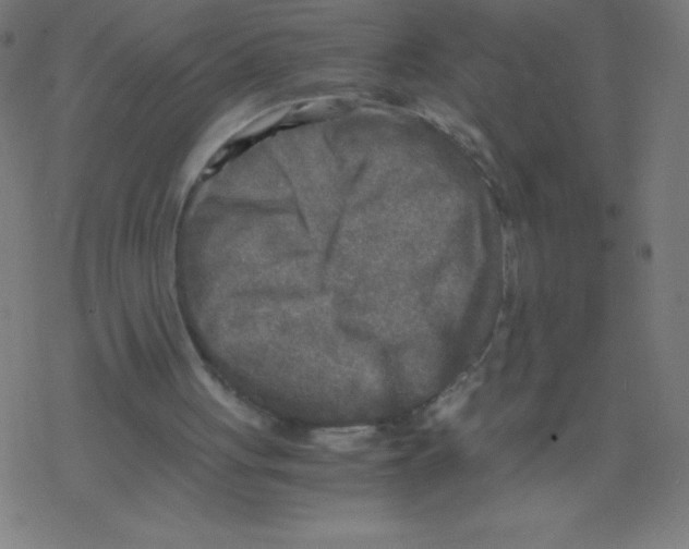 X0000078300051200612011845