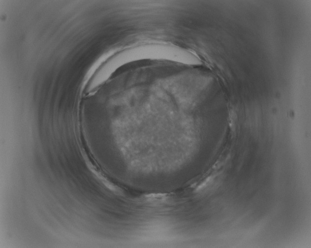 X0000078300052200612011845