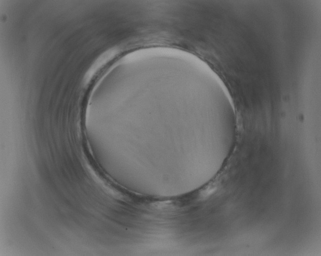 X0000078300054200612011845