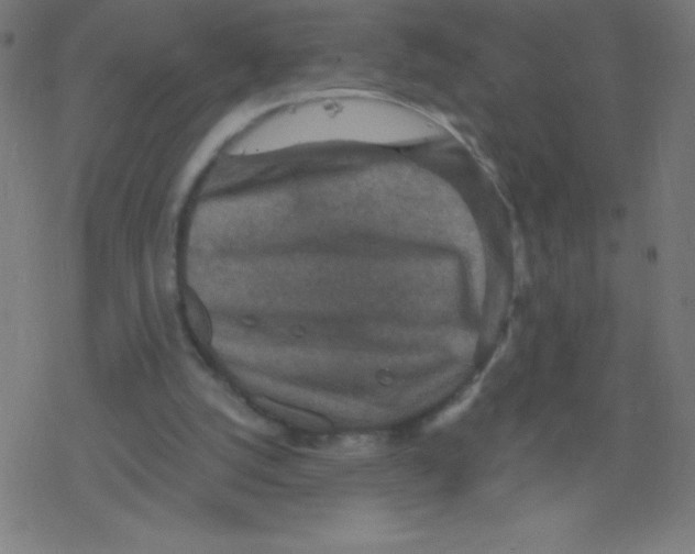 X0000078300056200612011845