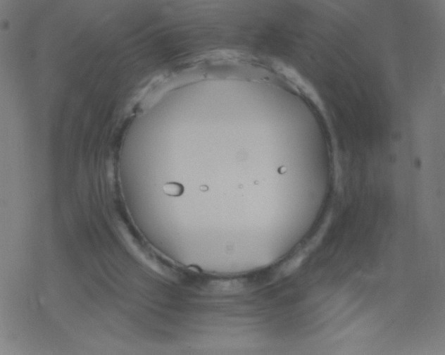 X0000078300057200612011845